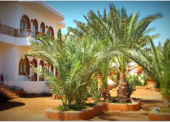 Hostel Shams & Dive Centre *