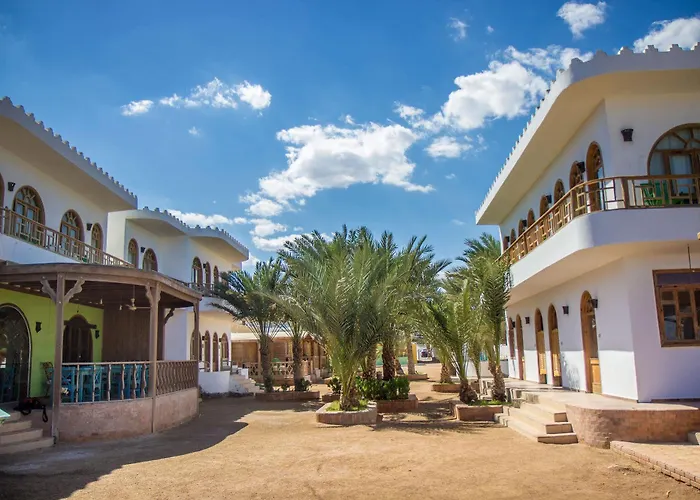 Shams & Dive Centre Hostel