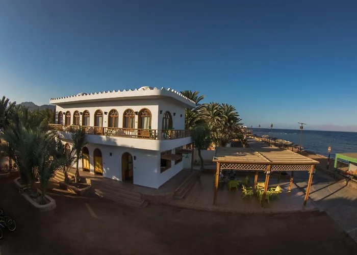Shams & Dive Centre